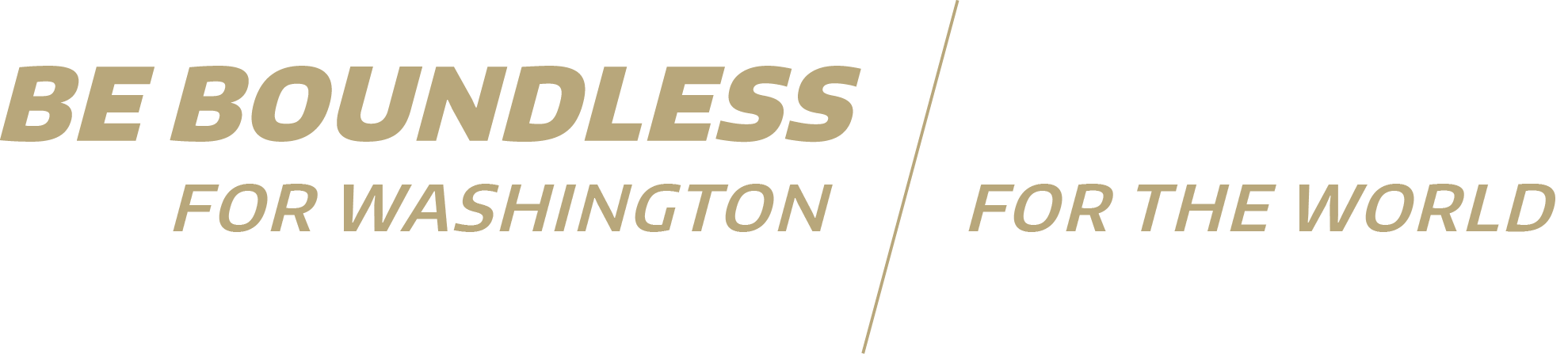 Be Boundless - For Washington For The World